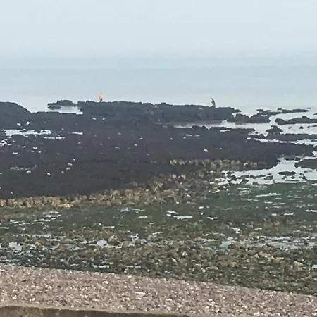 Les Mouettes, A Moins De 50 Metres De La Daire