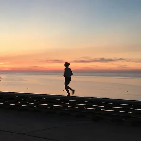 Les Mouettes, A Moins De 50 Metres De La *