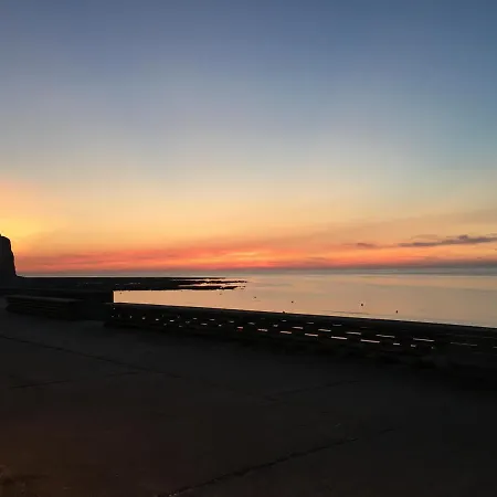 Les Mouettes, A Moins De 50 Metres De La *
