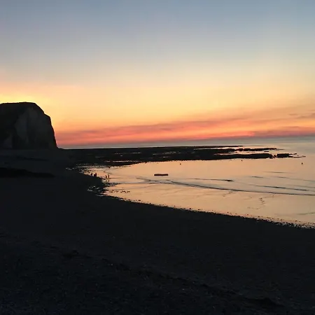Les Mouettes, A Moins De 50 Metres De La