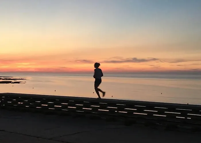 Les Mouettes, A Moins De 50 Metres De La *